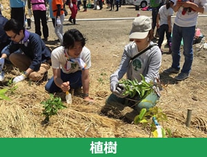 植樹