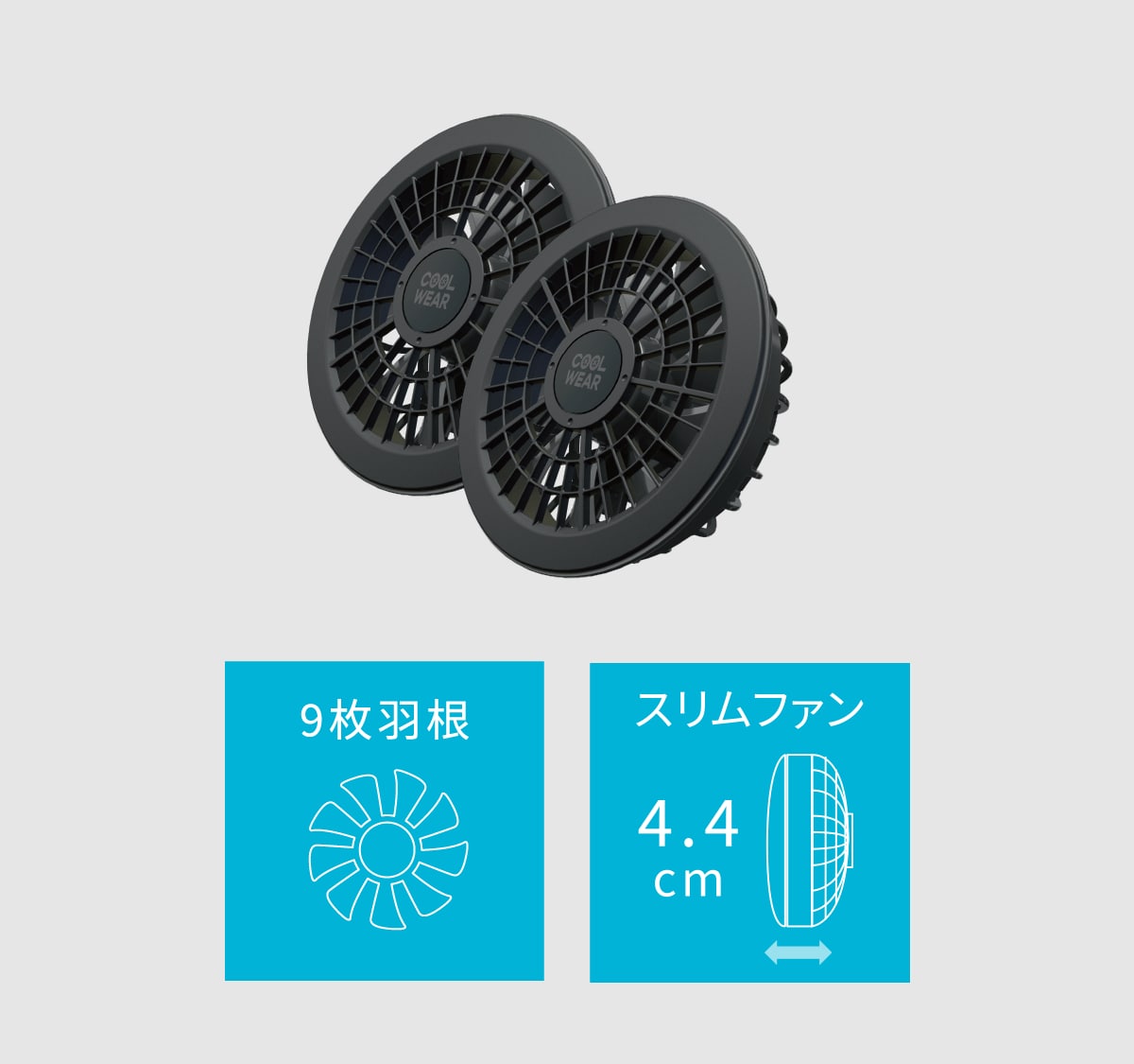ファンの図