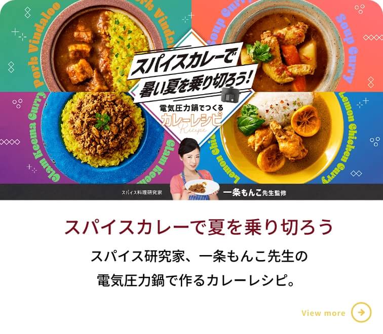 スパイカレー