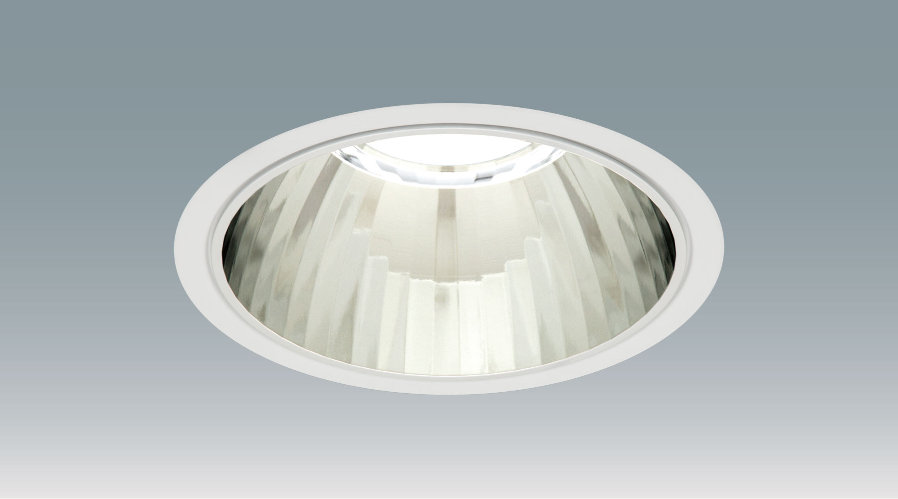 DL42L278-20A8W-D商品画像