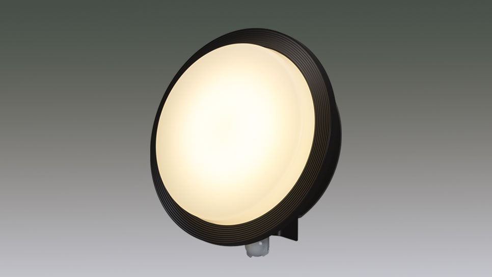 LEDﾎﾟｰﾁ灯 IRBR5N-CIFRB-MSBS-P商品画像