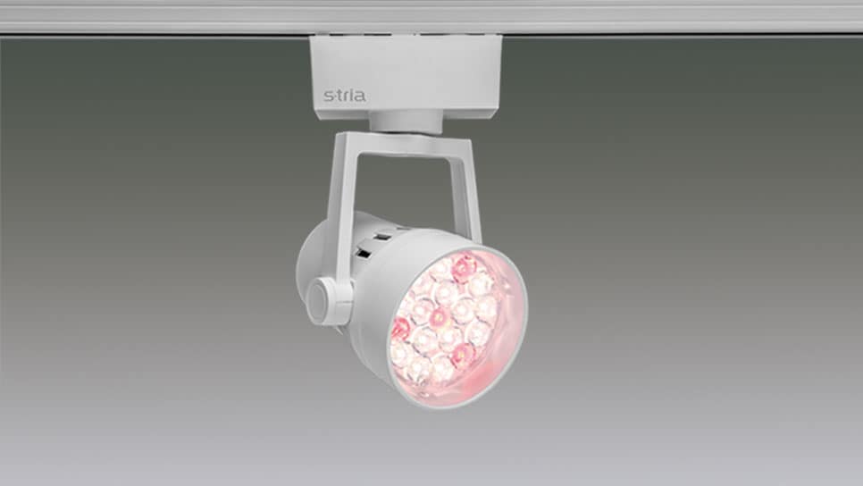 S-triaスポットライト 生鮮売場用タイプ SP18 1/2配光角25°精肉用 ホワイト (fa02)