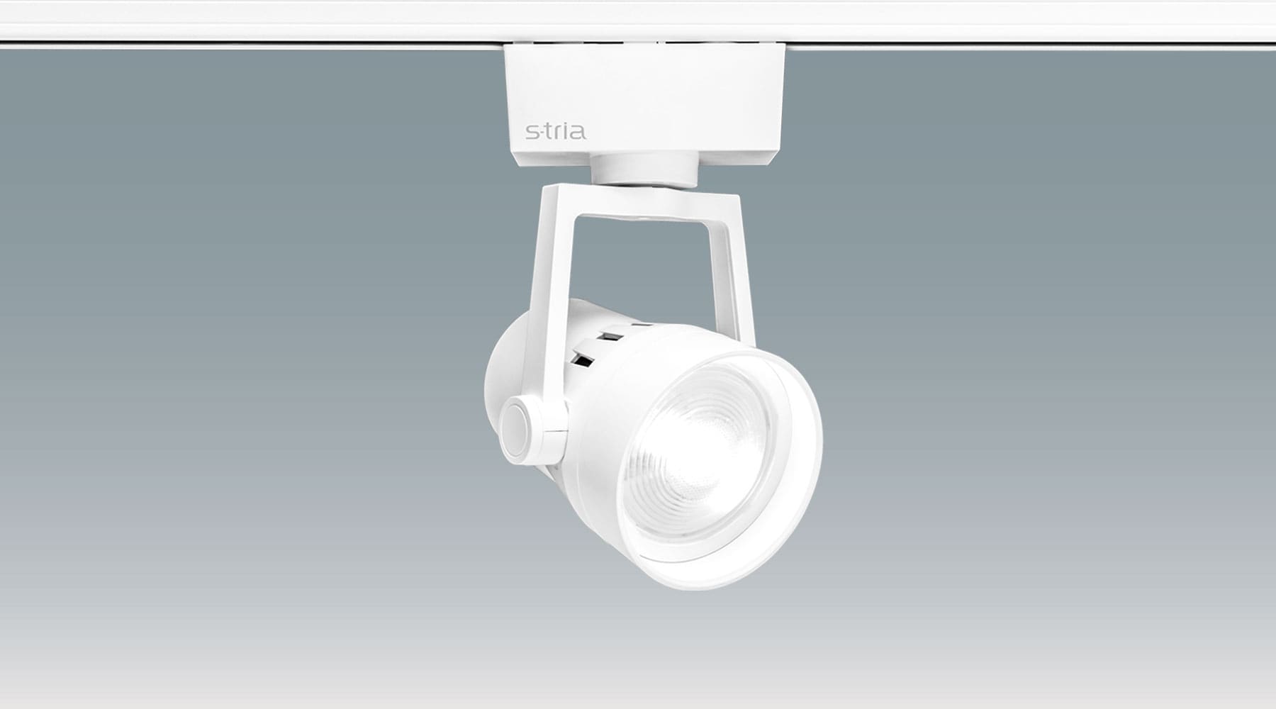 生鮮ｽﾎﾟｯﾄﾗｲﾄ 霜降り ﾉｰﾏﾙ SP17MM-WSCW商品画像