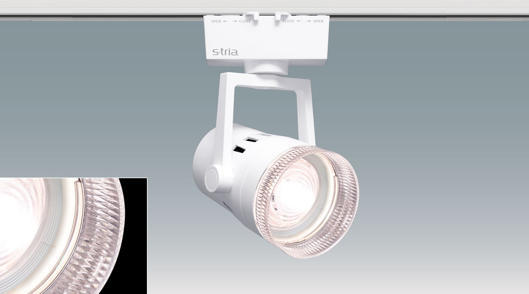 生鮮ｽﾎﾟｯﾄﾗｲﾄ 鮮魚 雫 SP22FI-WSCWR商品画像