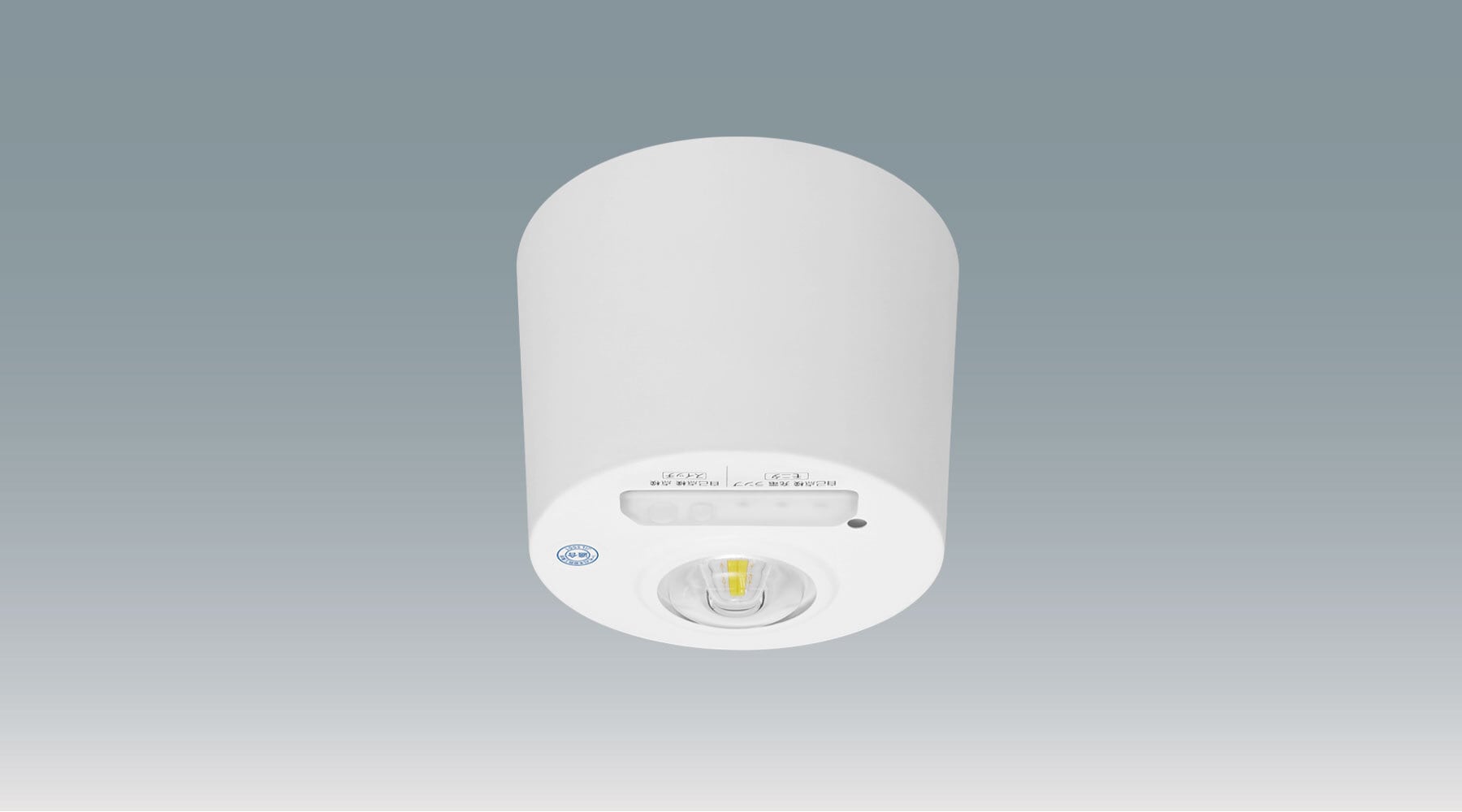 非常灯　低天井用 直付形(小形タイプ) IREL-CL3H/110-W商品画像