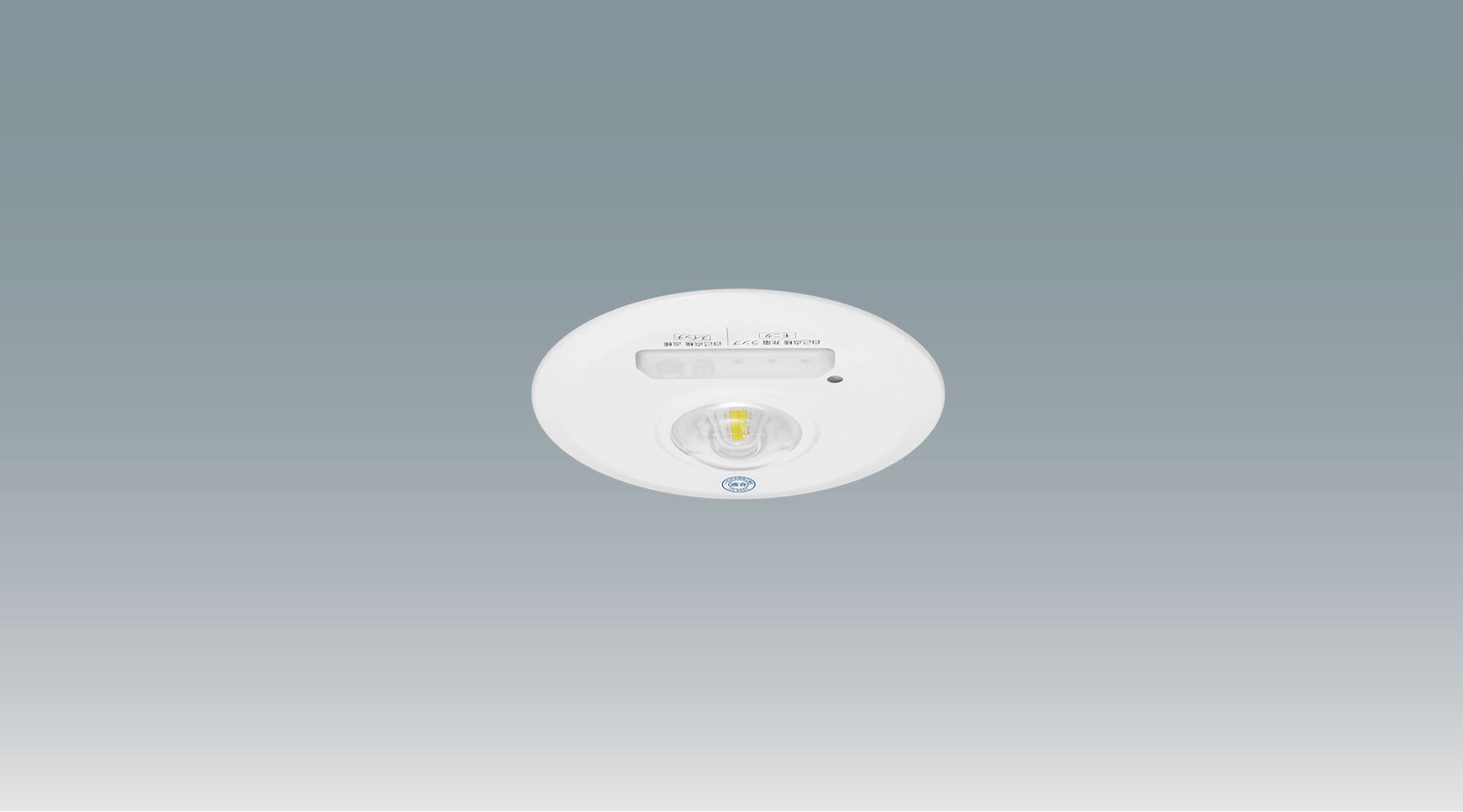 非常灯　高天井用 埋込形 Φ100 IREL-DL10/100-W商品画像