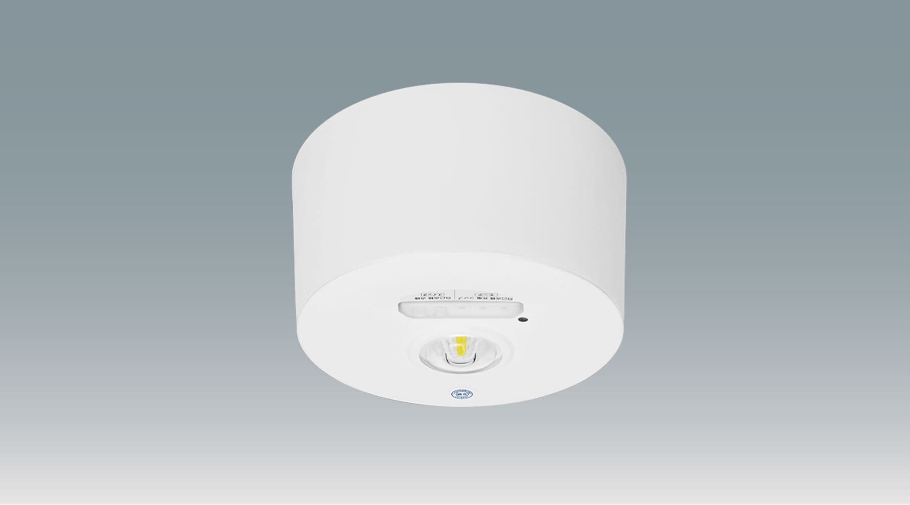 非常灯　高天井用 直付形 Φ160 IREL-CL10/160-W商品画像