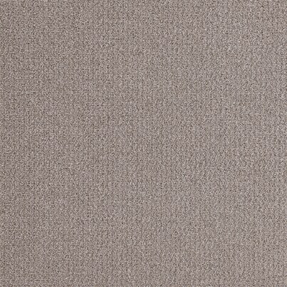 NP524