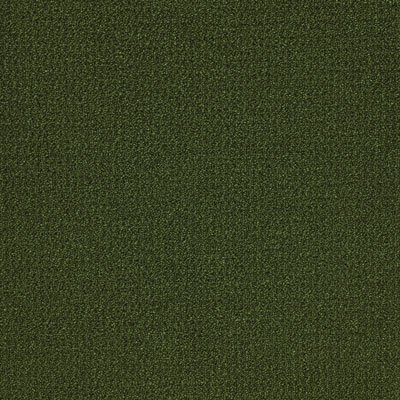 NP541