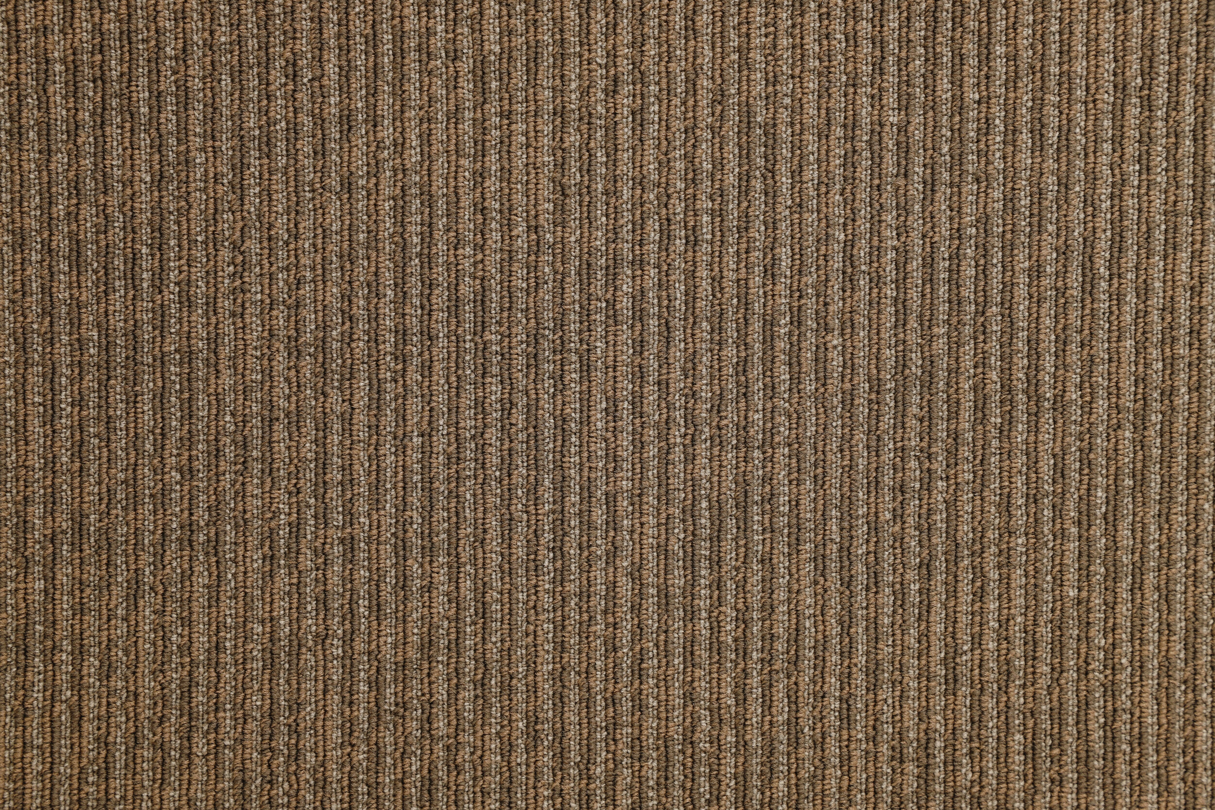 NSS521F