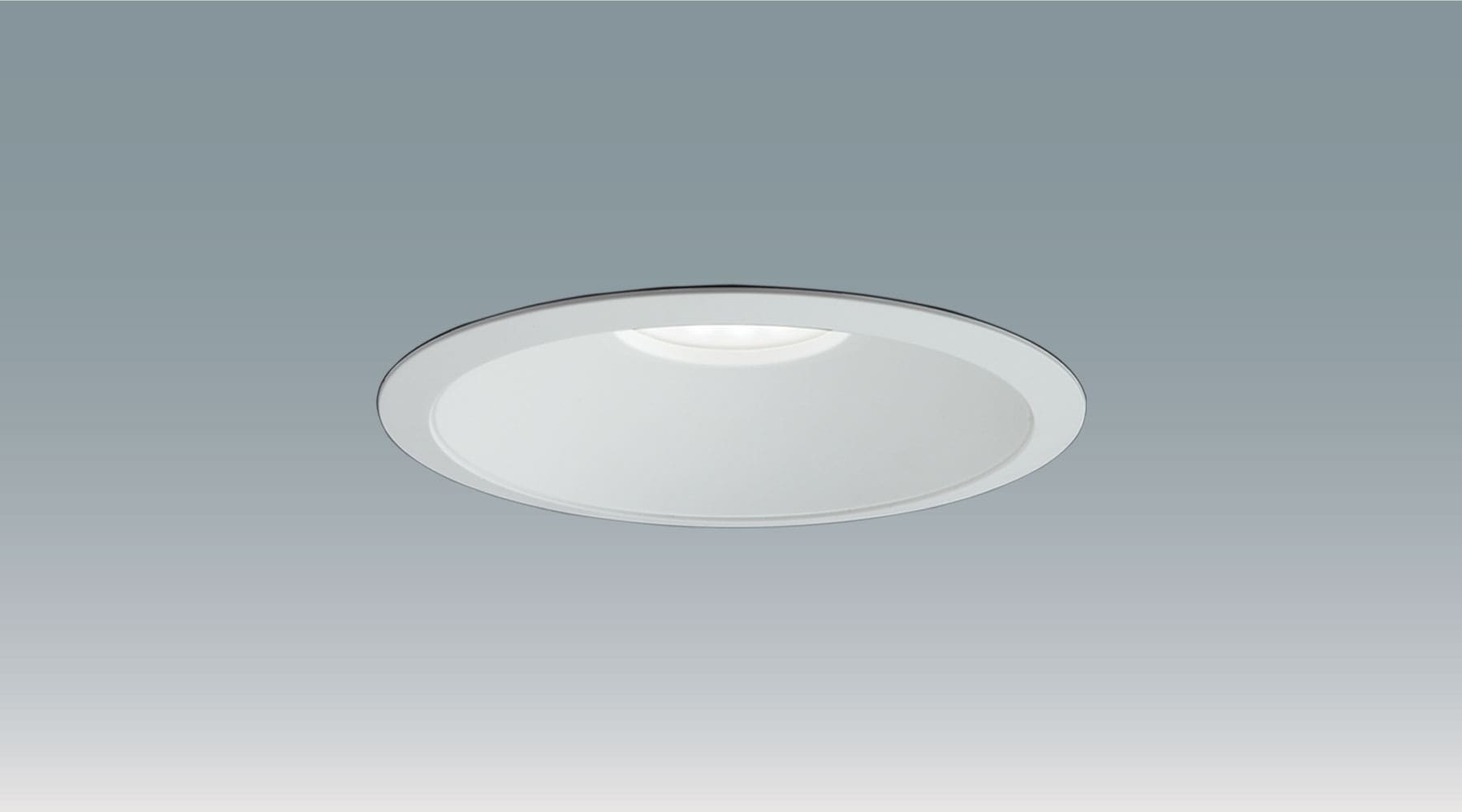 軒下ﾀﾞｳﾝﾗｲﾄ EL-WD00/2(350WWM)AHTZ商品画像