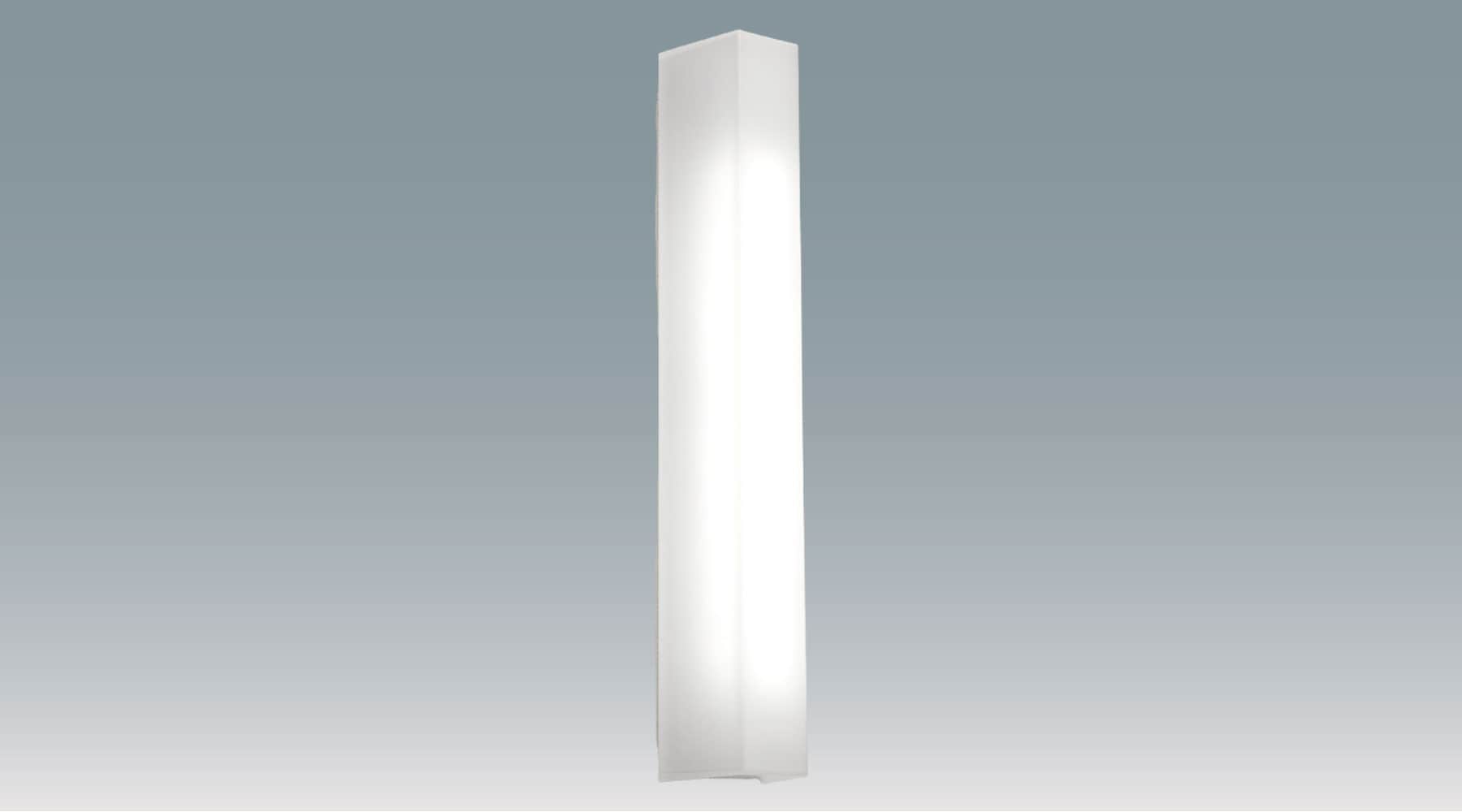直管LEDランプ交換型ポーチ灯器具 20形 IRLFDL21GB-P商品画像