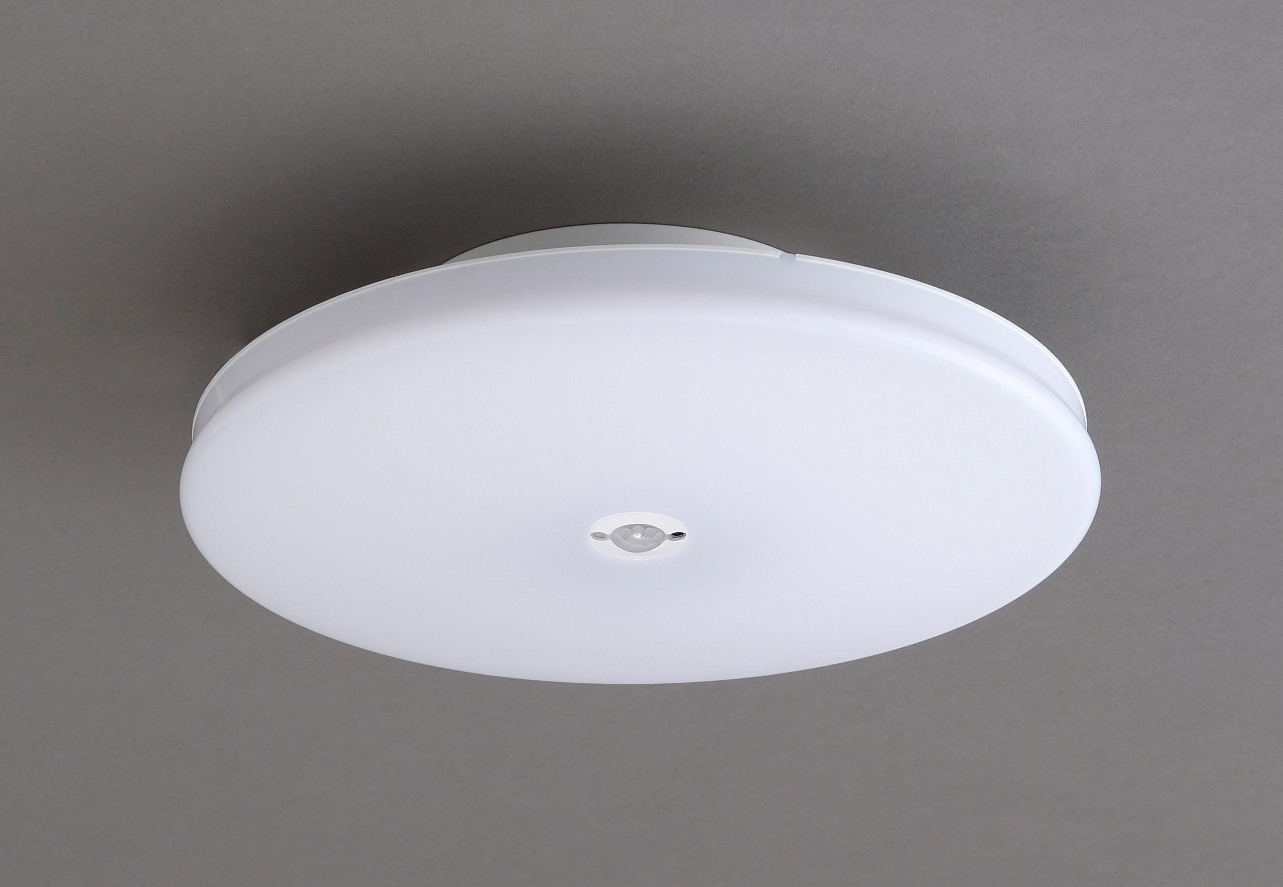 LED薄形小型ｼｰﾘﾝｸﾞﾗｲﾄ　2000lm　昼光色　ｾﾝｻｰ付 SCL20DMS-UU商品画像