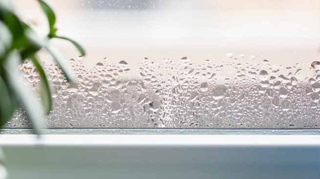 【場所別】湿気対策をご紹介！おすすめアイテムを使って梅雨を快適に過ごそう