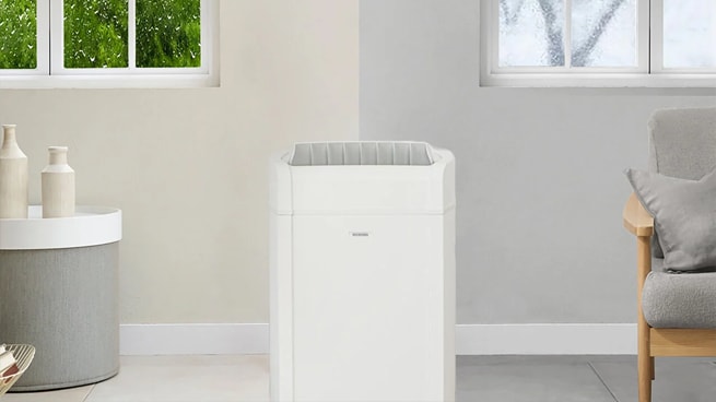 一年中パワフルな最新の「ハイブリッド式衣類乾燥除湿機」をレビュー！