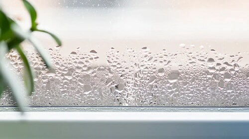 衣類乾燥除湿機に関するコンテンツはこちら