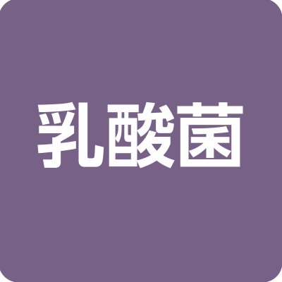乳酸菌