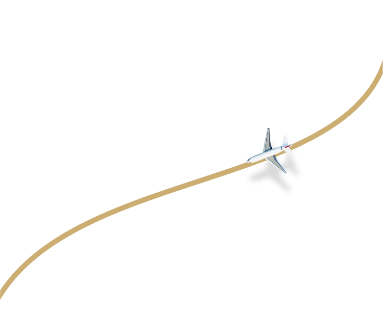 Flight