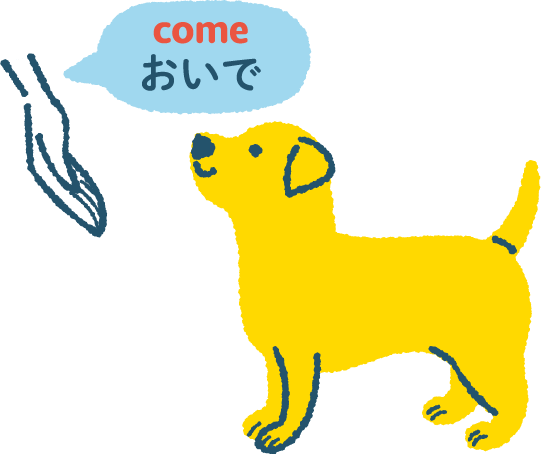 よびもどしができる