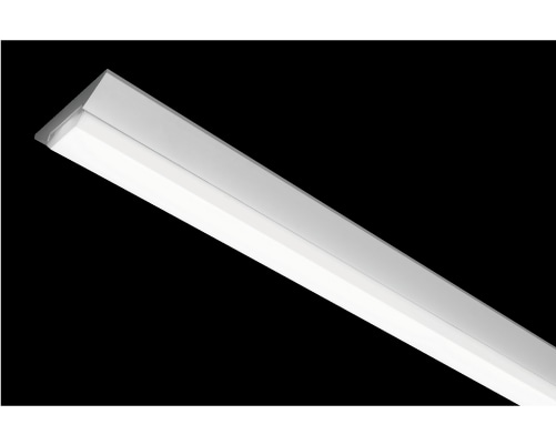 LED Base Light