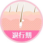 退行期