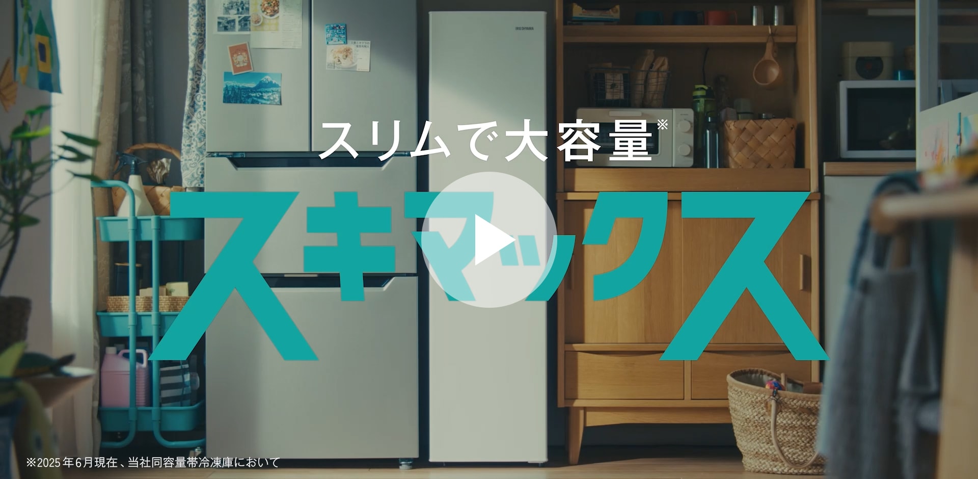 動画