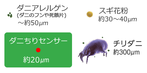 大きさ比較
