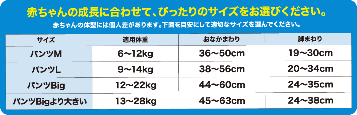 サイズ