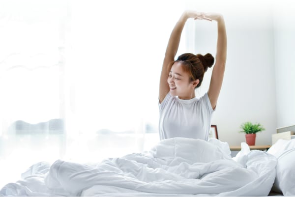 ふとんをケアして一年中快適な睡眠を