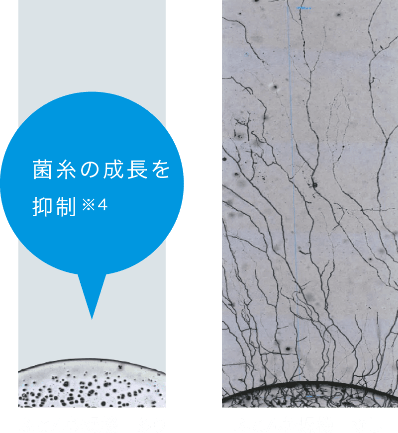 梅雨のジメジメした時期でもふとんをしっかり乾燥。
