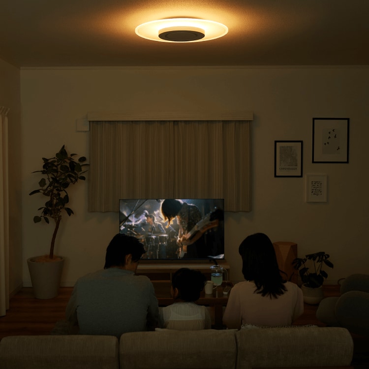 パネルライト　使用シーン　映画鑑賞にも