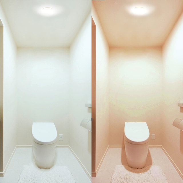 トイレでの使用シーン
