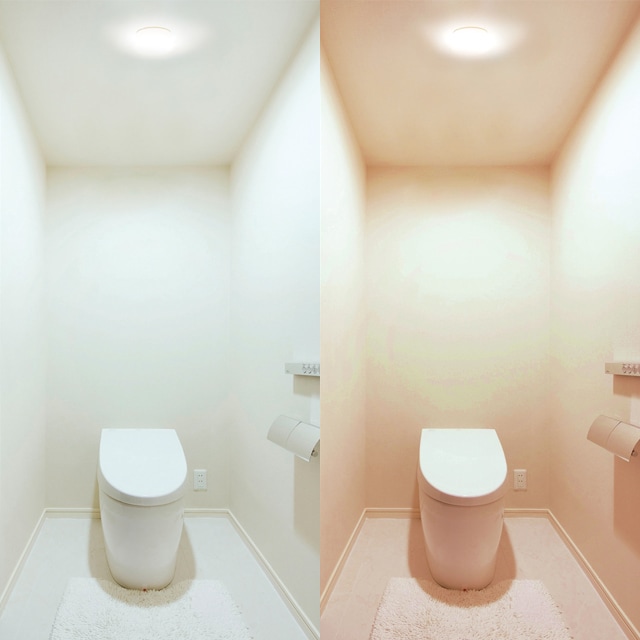 トイレでの使用シーン