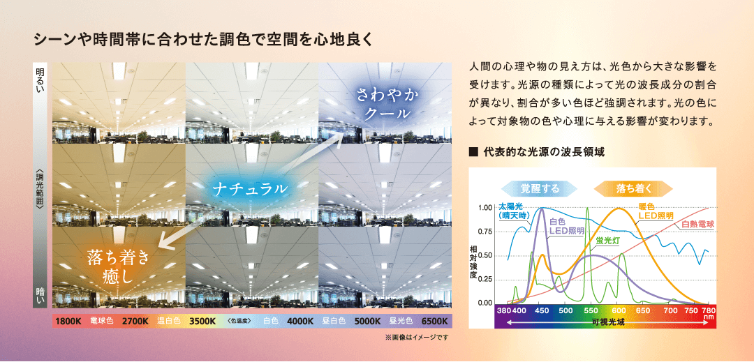 シーンや時間帯に合わせた調色で空間を心地良く