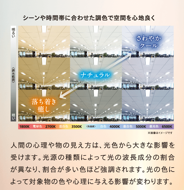 シーンや時間帯に合わせた調色で空間を心地良く