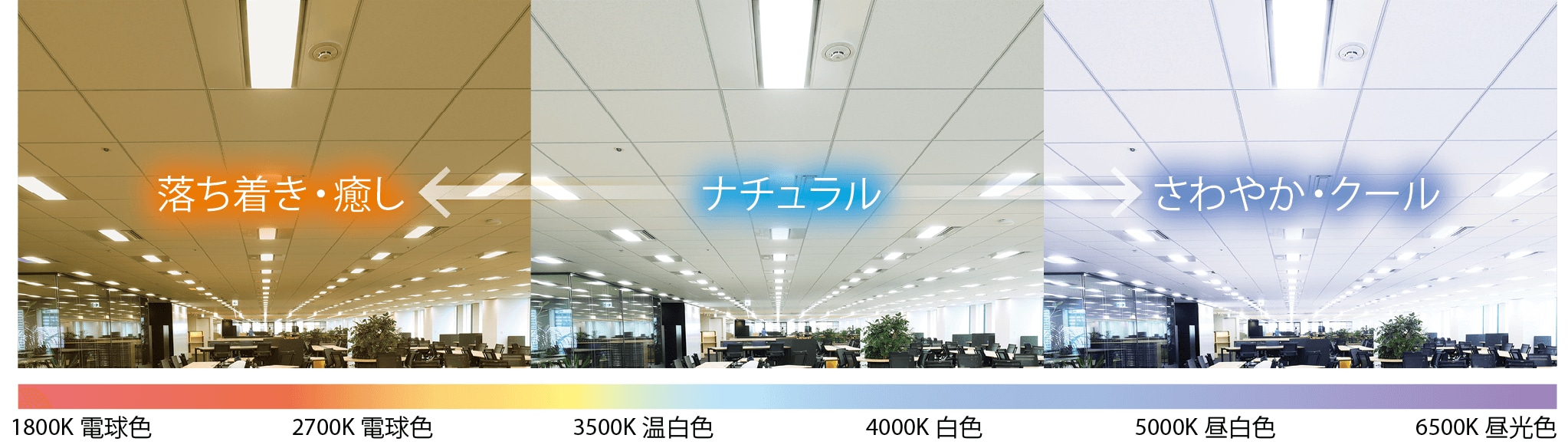 シーンや時間帯にあわせた調色