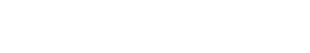 LiCONEX（ライコネックス）システム