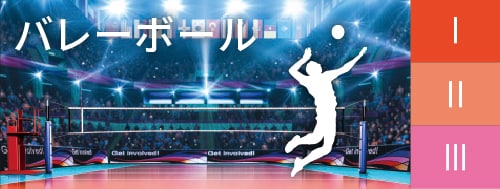 バレーボール