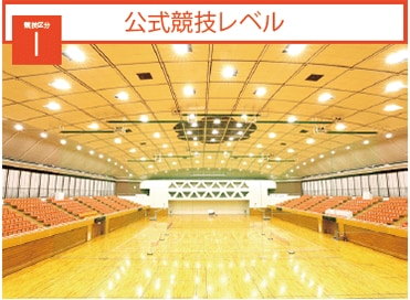 競技区分1 公式競技レベル