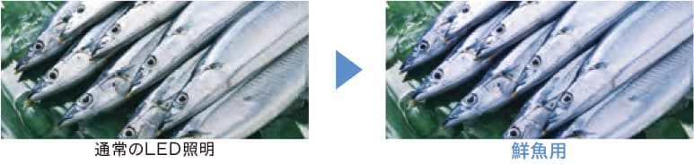 青魚の鮮度の良さを強調