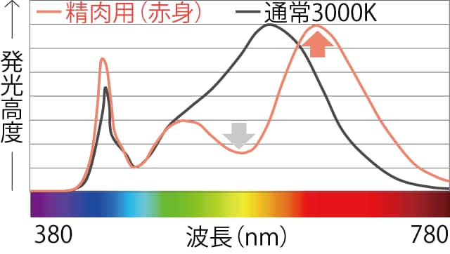 精肉用(赤身)