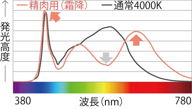 精肉用(赤身)