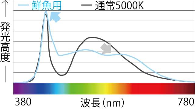 鮮魚用