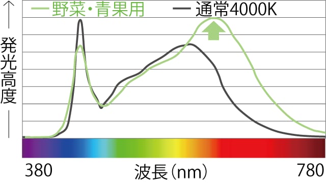野菜・青果用