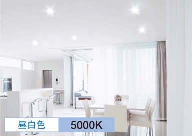 昼白色 5000K