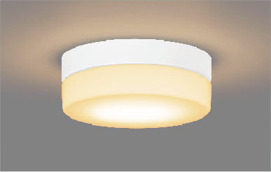 エクステリア LEDシーリングライト