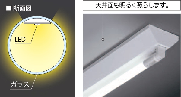 天井面も明るく照らします