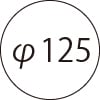 φ125