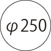 φ250