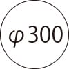 φ300